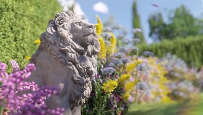 Royal Salute Brand Film - Video Production