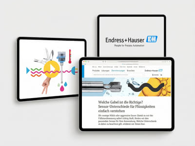 Datenbasierte B-to-B-Content-Strategie und -Erstellung: Endress+Hauser - SEO