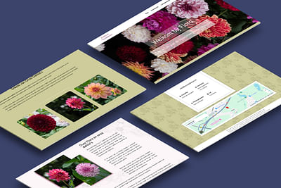 2024 – UX Design & Dev for a Flora Consulting Firm in Veldhoven - Website Creation