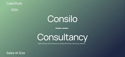 Consilo - Consultancy - E-mail Marketing