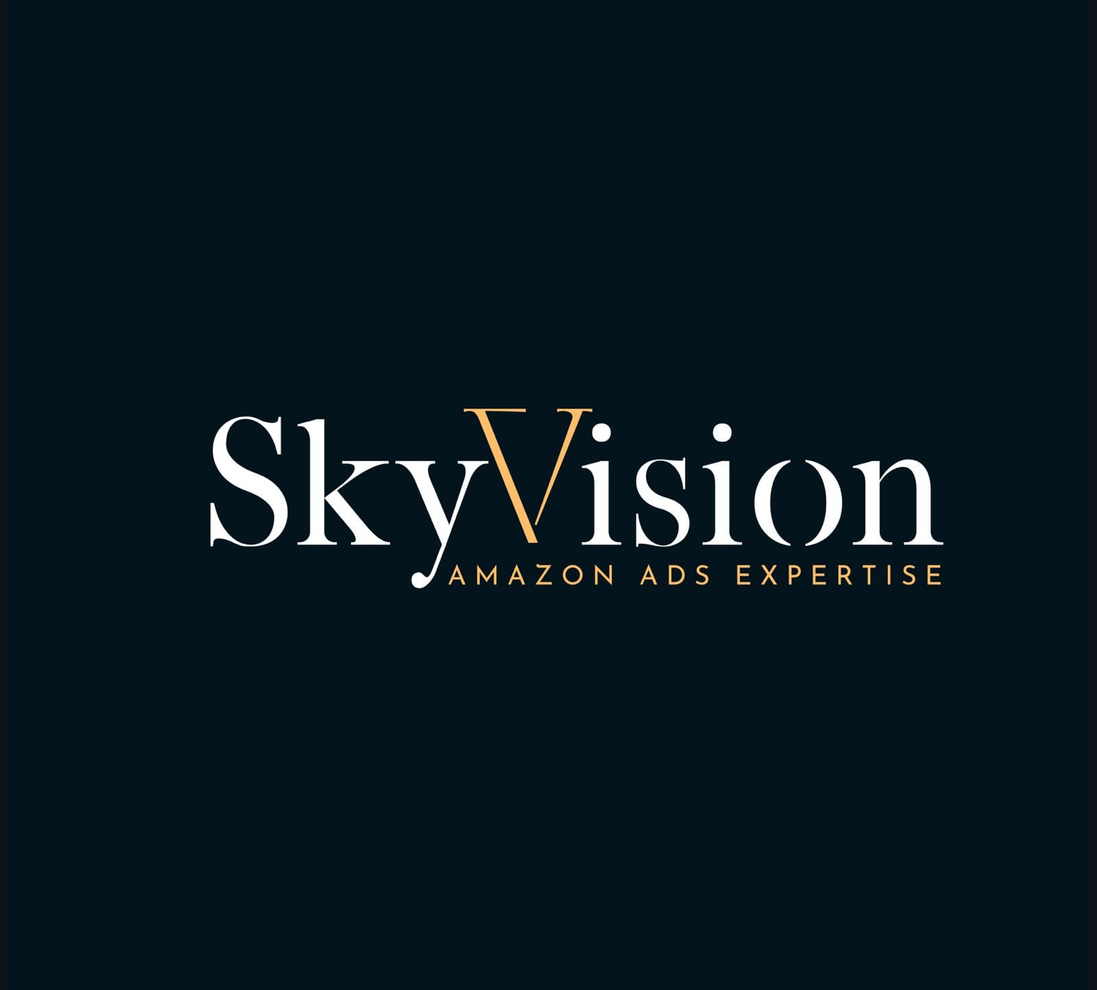 SkyVision