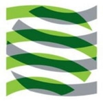 NewBase LLC