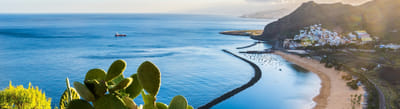 Paid Search & Social Pullmantur - Publicidad Online