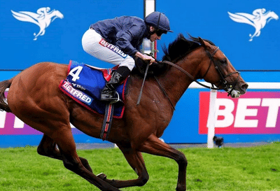 Horse Racing Results Custom WordPress Plugin for Betfred - Webseitengestaltung