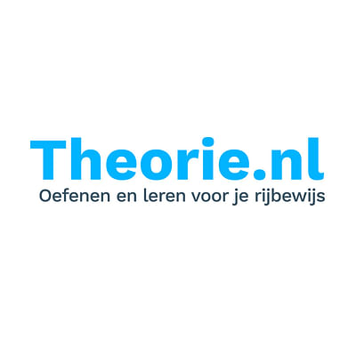 Strategic Marketing Partner Theorie.nl - Réseaux sociaux