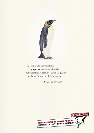 PENGUIN - Werbung