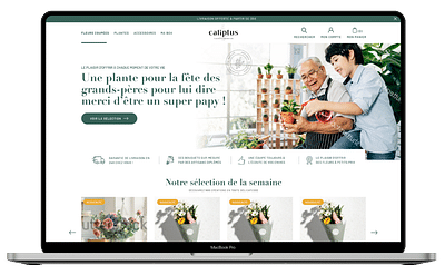 Caliptus - E-commerce - E-commerce