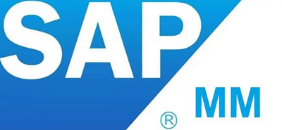 Implementación SAP Módulo MM - Software Development