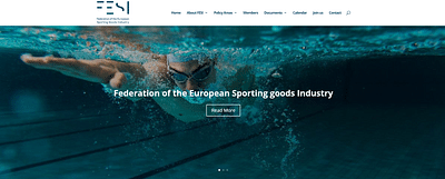 FESI Sport [site vitrine] - Email Marketing