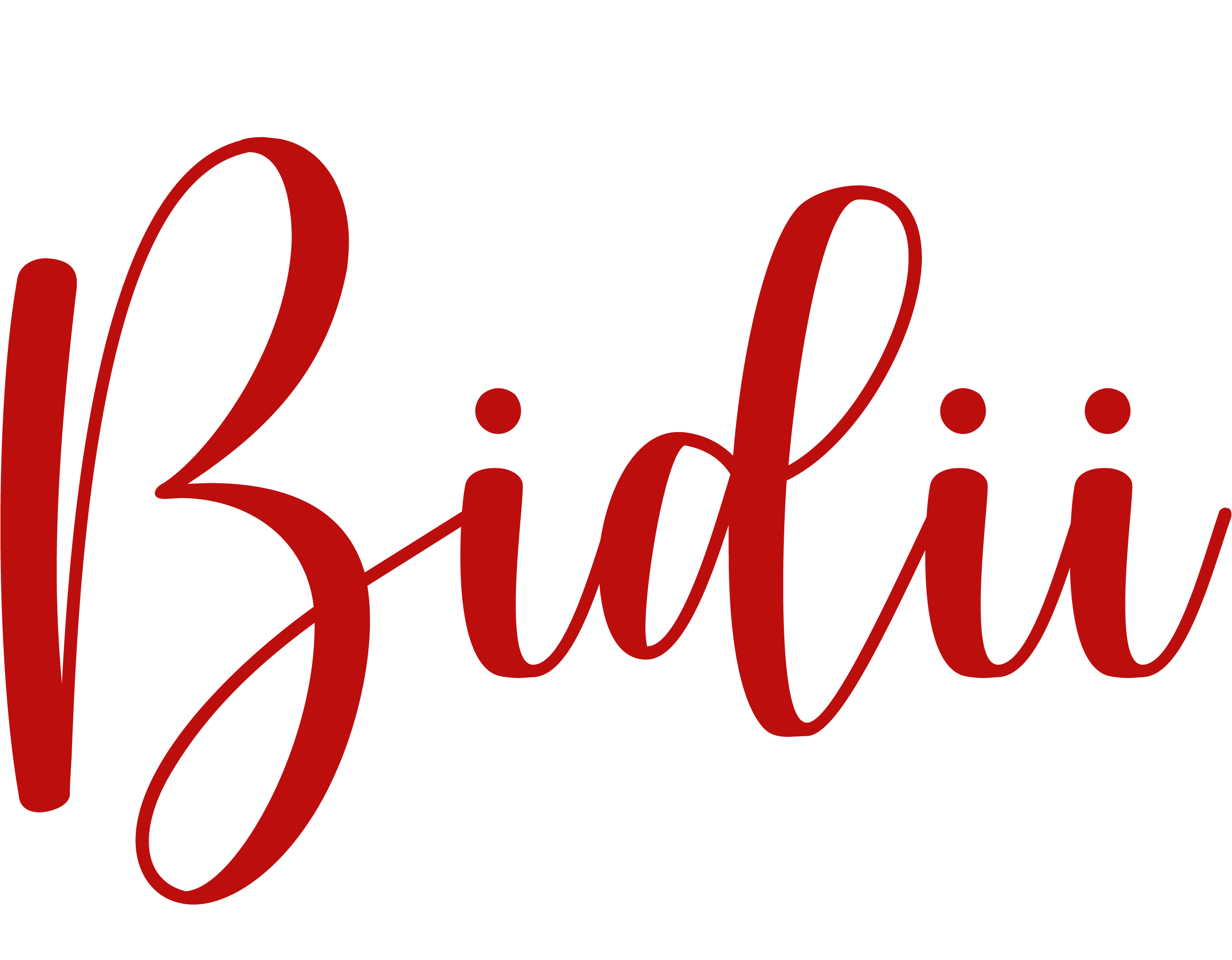 Bidii Creatives