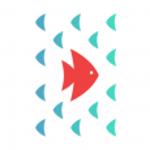 Pragmatic DLT inc