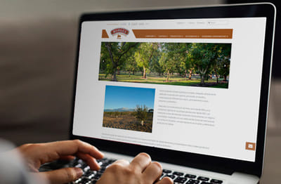 BORGES Bain - Diseño web y maquetación - Usabilidad (UX/UI)