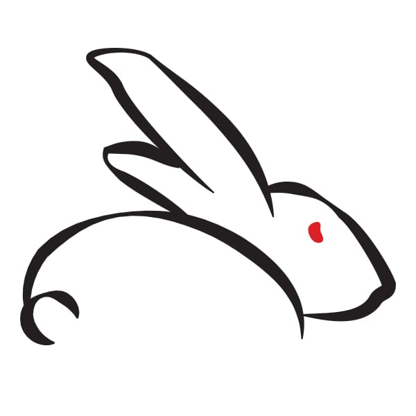 White Rabbit