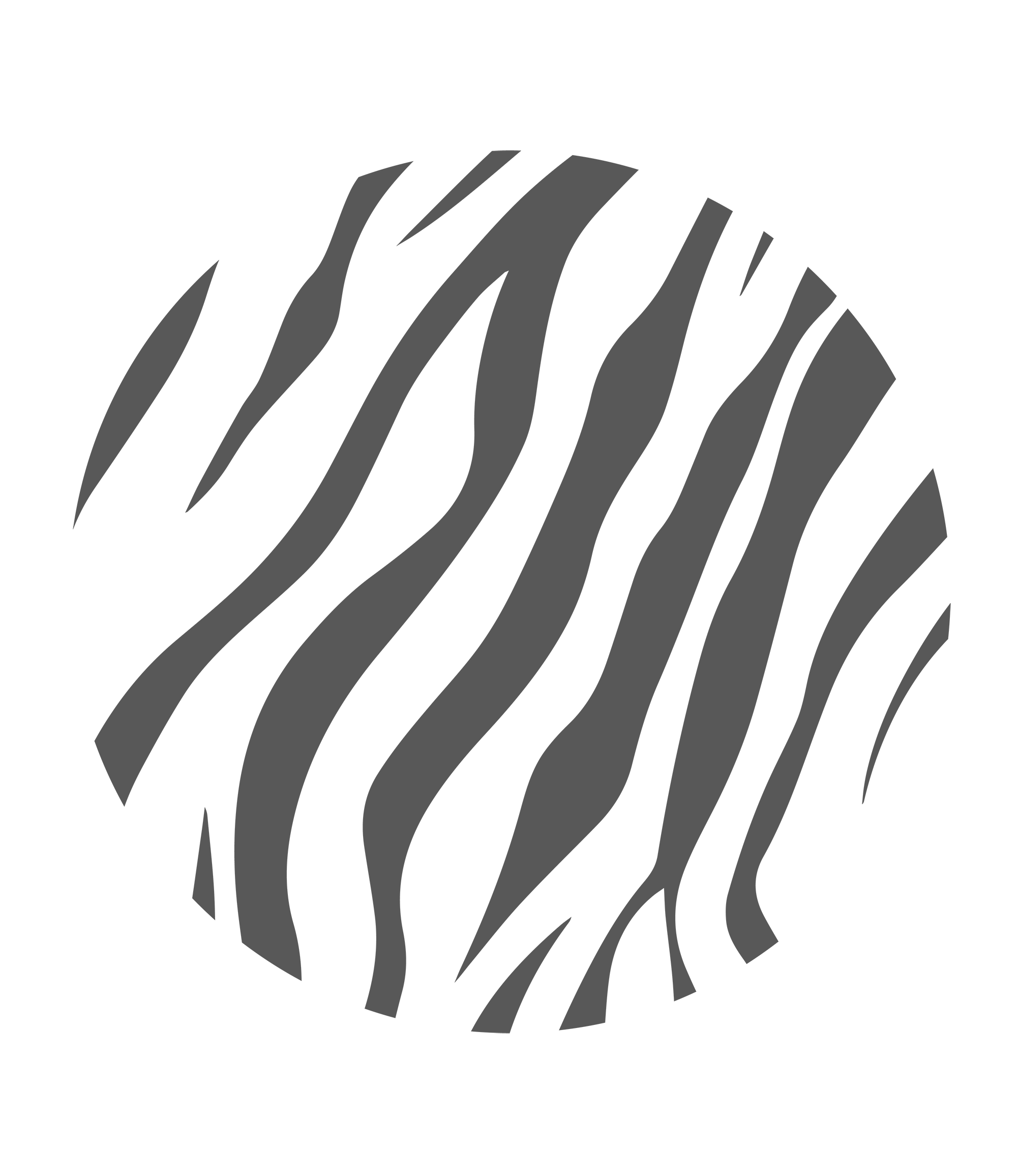 Crossing Zebra