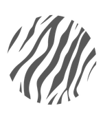 Crossing Zebra logo