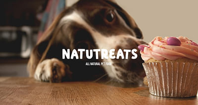 NatuTreats Branding - Image de marque & branding