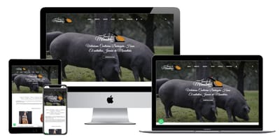 Jamón de Monesterio - E-commerce