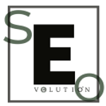 SEO Evolution Search Engine Optimization Agency
