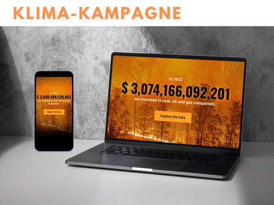 Kampagne: Investing in Climate Chaos - Webseitengestaltung