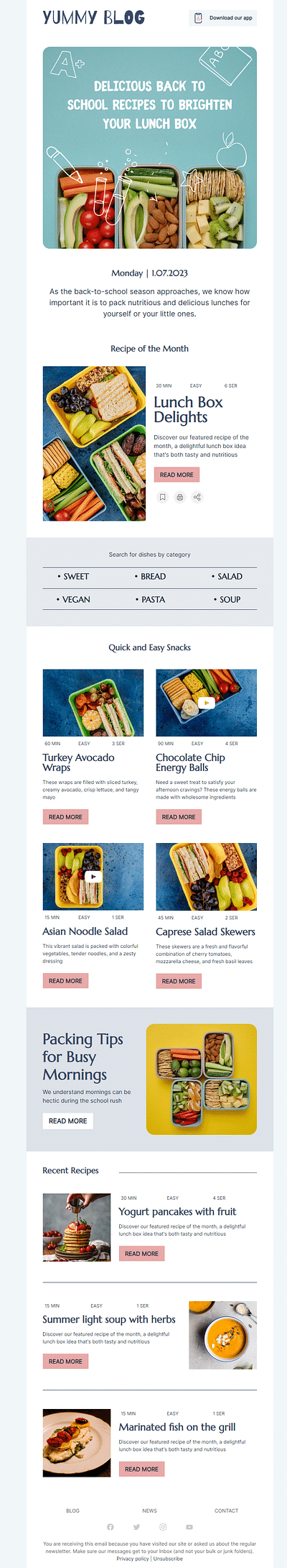 Yummy Blog email Template design - Email Marketing