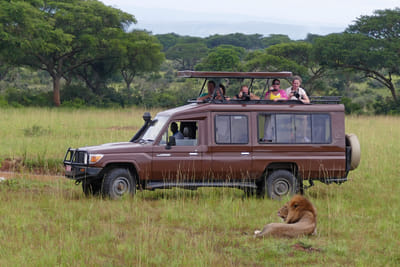 Habari Travel - SEO