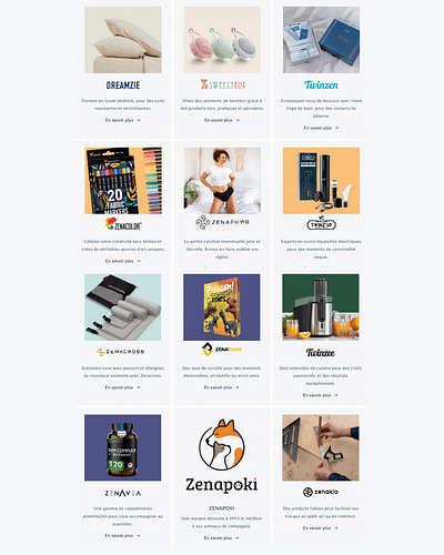 Campagne dans 7 pays/+12 marques e-commerce : BMS - Publicité en ligne