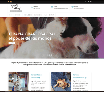 Proyecto de diseño web y estrategia digital para Ingrivity Dreams - Estrategia digital