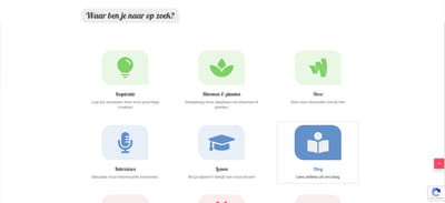 Floreview - Creación de Sitios Web