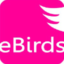 Ebirds