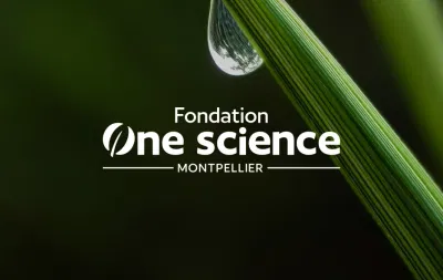 Refonte du site internet de la Fondation One Science Montpellier - Création de site internet