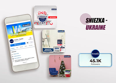 SMM for Sniezka Ukraine - Social Media