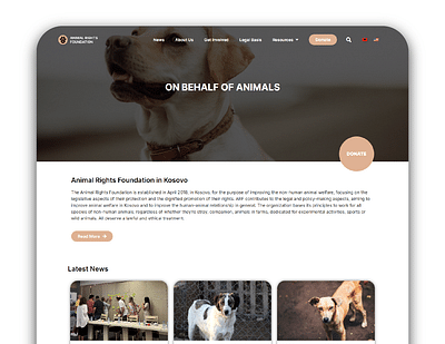 Website Design and Development - Création de site internet