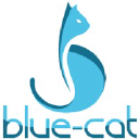 Blue-Cat