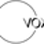 Vox Communication