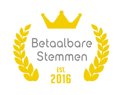 Websiteoptimalisatie Betaalbarestemmen.nl - SEO