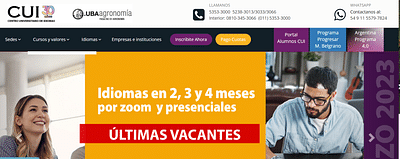 Google Ads Argentina - Posicionamiento SEM CUI UBA - Publicité en ligne