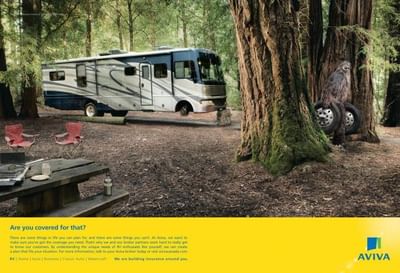 SASQUATCH - Advertising