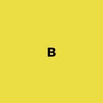 WE ARE BRAVAS logo