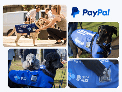 PayPal launching in a new sector - Advertising