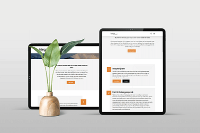 Ontwikkeling van de Interns Abroad Website - Branding & Positionering