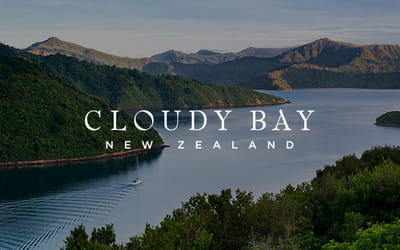 Bloudy Bay : Stratégie digitale - E-commerce