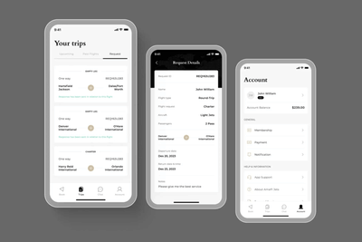 Amalfi Jet - Usabilidad (UX/UI)