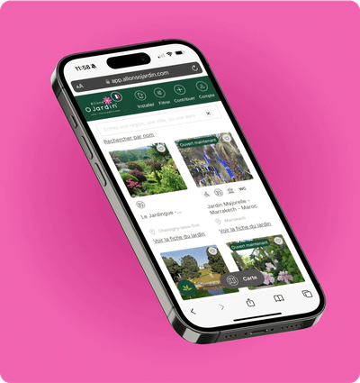 Création de l'application AllonsOjardin - Application web