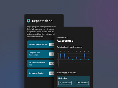 Arena Strive Mobile App - Usabilidad (UX/UI)