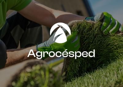 Diseño de logo - Branding y posicionamiento de marca