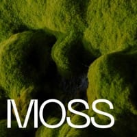 moss.marketing