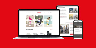 Design, Webshop ontwikkeling - Ergonomie (UX / UI)