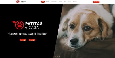 Patitas a Casa - Website Creatie