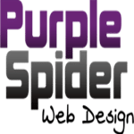 Purple Spider Web Design