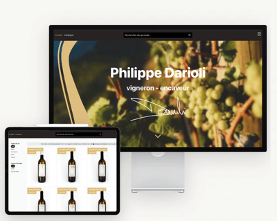 Philippe Darioli - E-commerce